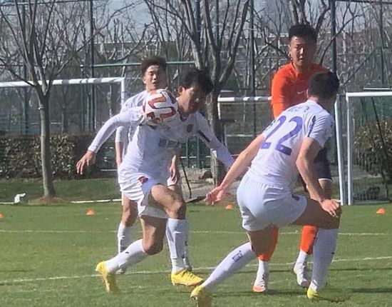 在线免费观看h