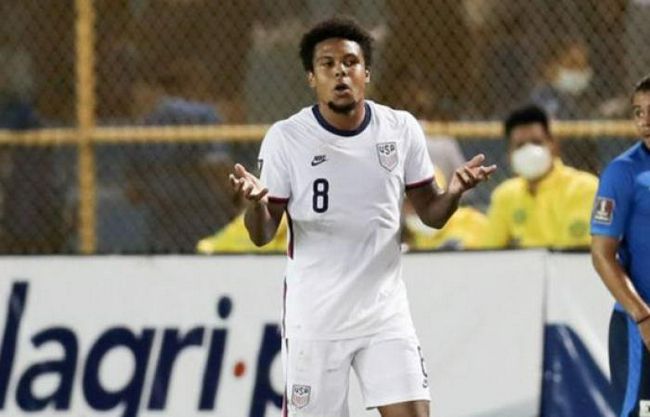国产乱人视频在线观看播放器