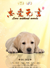试看福利